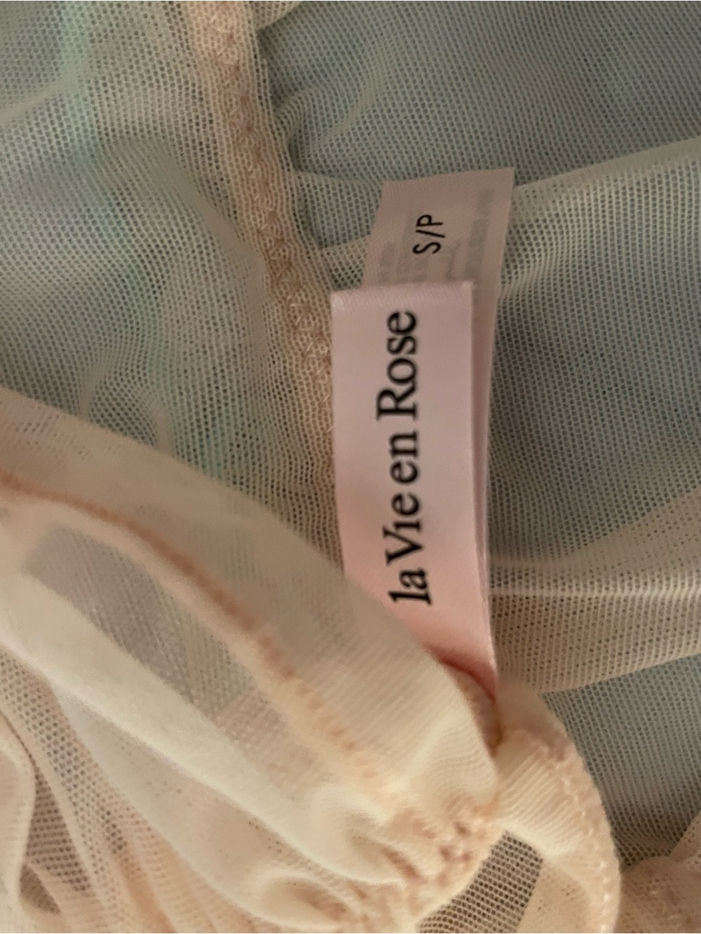 La Vie En Rose Pink Sheer Lace Babydoll with Teal Trim - Picture 3 of 5